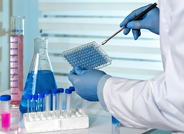 化学、石化和原材料